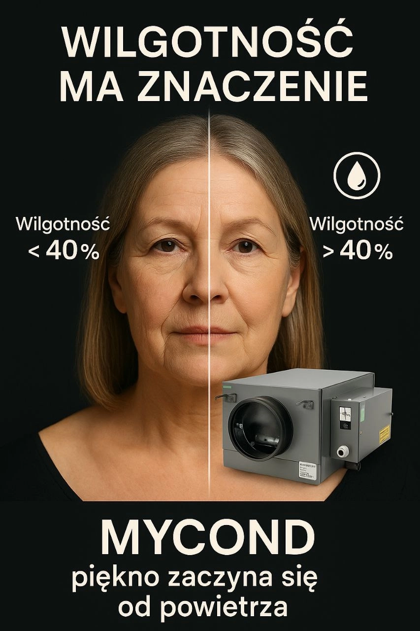 Plusy i minusy nawilżaczy parowych